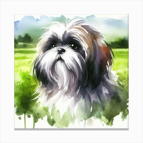 Shih Tzu Canvas Print