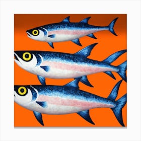 Three Fish 1 Canvas Print