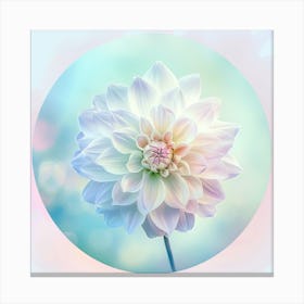 Dahlia 3 Canvas Print