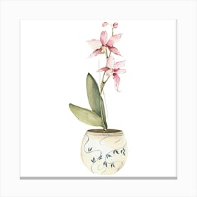 Orchid In A Pot Canvas Print