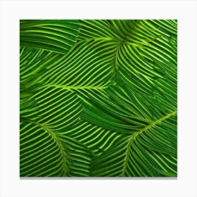 Tropical Leaves Background Canvas Print
