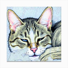 Cat With Blue Eyes Canvas Print