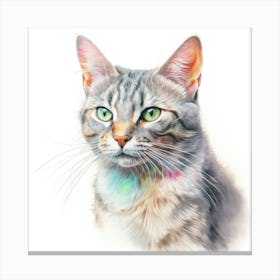 Sokoke Cat Portrait 2 Canvas Print