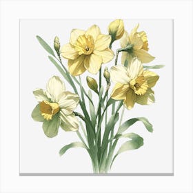 Daffodil 1 Canvas Print