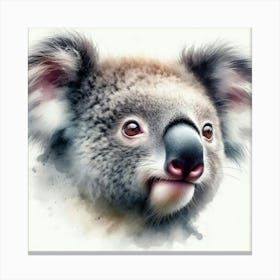 Koala 9 Canvas Print