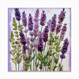 Lavenders Canvas Print