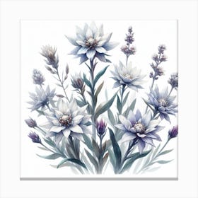 Flowers of Edelweiss 3 Canvas Print