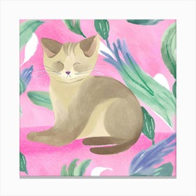 Cat On Pink Background 1 Canvas Print