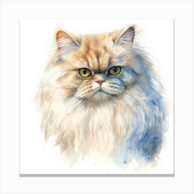 Colorpoint Persian Cat Portrait 1 Canvas Print