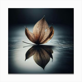 Leaf On Water Canvas Print