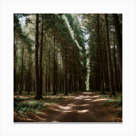 Forest Canvas Print