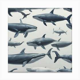 Whales Canvas Print