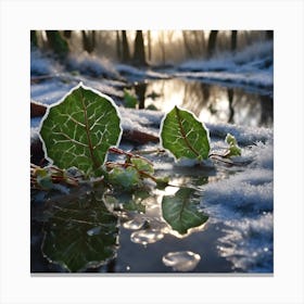 Ivy on Icy Pond Canvas Print