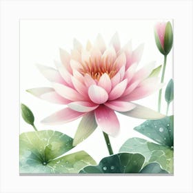 Water lily 2 Canvas Print