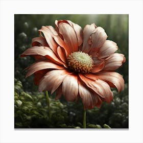 Daisy Canvas Print