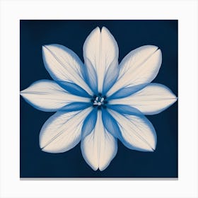 Blue Flower 5 Canvas Print