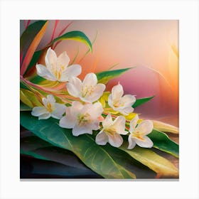 White Flowers At Sunset Canvas Print