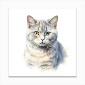 Russian Shorthair Cat Portrait 3 Canvas Print