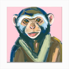 Capuchin Monkey 01 Canvas Print