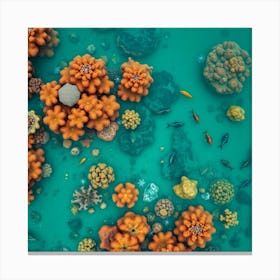 Underwater Coral Reef 6 Canvas Print