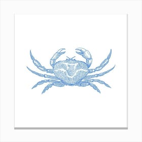 Blue Crab Canvas Print