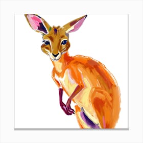 Kangaroo 02 Canvas Print