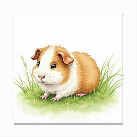 Guinea Pig 2 Canvas Print