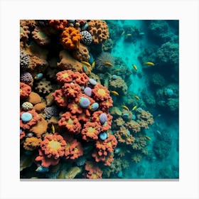 Coral Reef In The Red Sea 2 Canvas Print