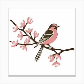 Cherry Blossom Bird Canvas Print