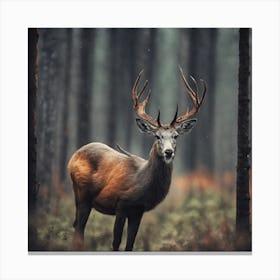Deer In The Forest 5 Canvas Print