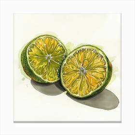 Two Limes Canvas Print