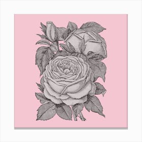 Roses On A Pink Background 1 Canvas Print
