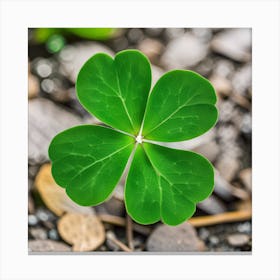 Four Leaf Clover 1 Canvas Print