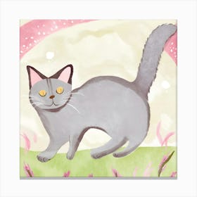 British Shorthair Cat Canvas Print