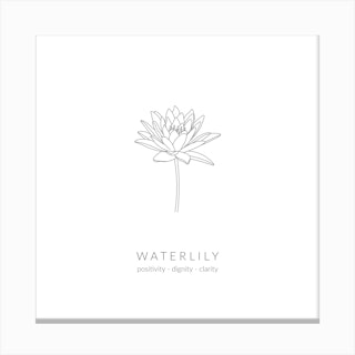 Waterlily Birth Flower Square Canvas Print