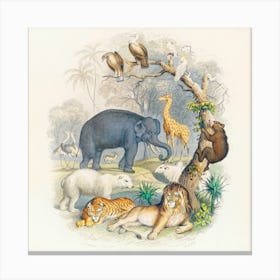 Cover Of A History Of The Earth And Animated Nature (1820), Oliver Goldsmith Canvas Print