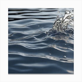 Splashing Water Canvas Print