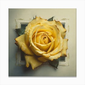 Yellow Rose 1 Canvas Print