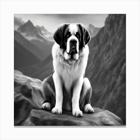 St Bernard Dog 75 Canvas Print