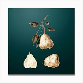 Gold Botanical Pear on Dark Teal n.4190 Canvas Print