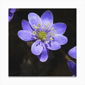 Vibrant flower Canvas Print