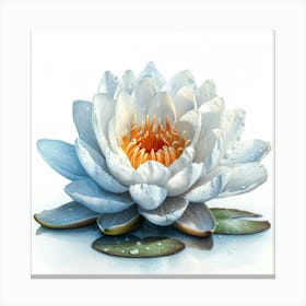 Water Lily 2 Canvas Print