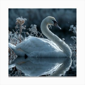 Angel Swan Canvas Print