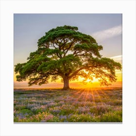 Sunset Over A Tree Canvas Print