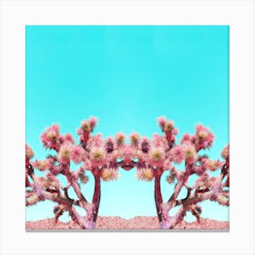Pink Joshua Tree Siamese Cactus Mirrored Square Canvas Print