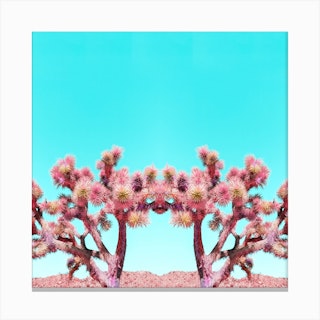 Pink Joshua Tree Siamese Cactus Mirrored Square Canvas Print
