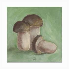 Three Mushrooms Canvas Print