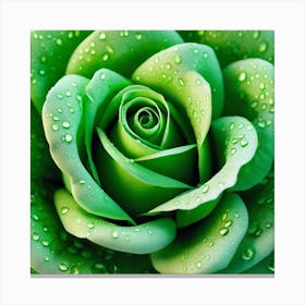 Green Rose With Water Droplets Canvas Print