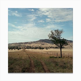 Farm 024 Canvas Print