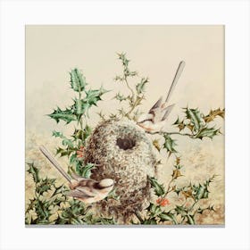 Nest 1 Canvas Print